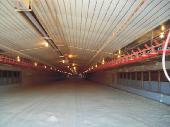 chamber_web_18012004.jpg