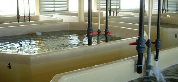 chamber_web_18026020.jpg